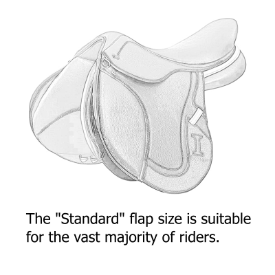 Flap Standard