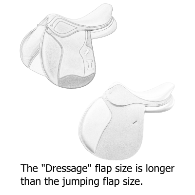 Dressage Flap Size