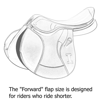 Forward Flap